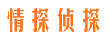 无极情探私家侦探公司